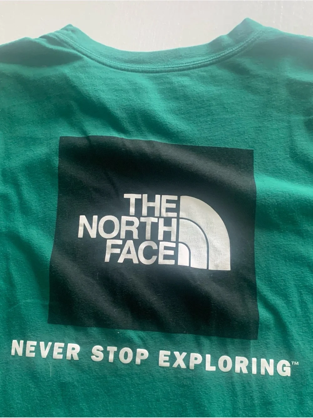 The North Face Teal Graphic Logo men’s medium